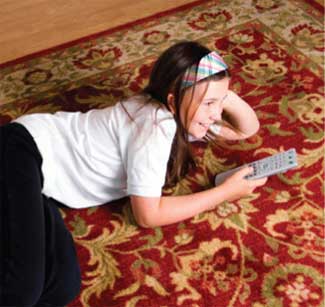 professional area rug cleaning petoskey