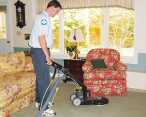 expert carpet cleaning